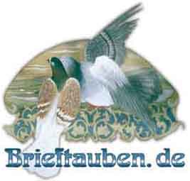 Logo Brieftauben.de